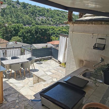 Villa Calendula Novigrad  Esterno foto