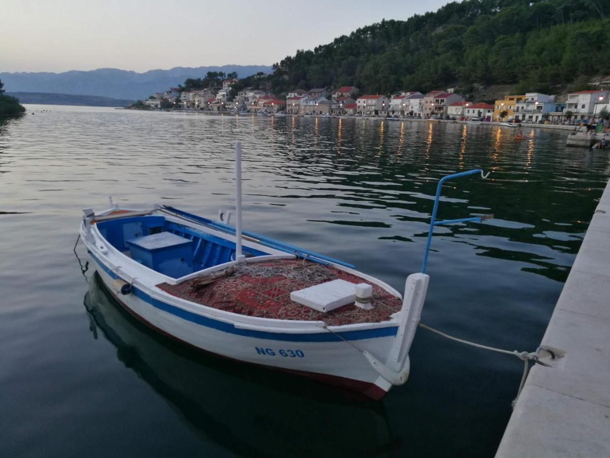 Villa Calendula Novigrad  Esterno foto