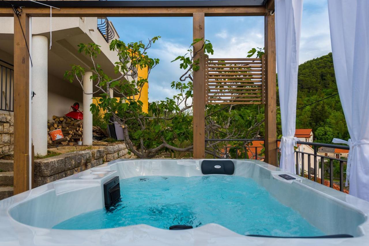 Villa Calendula Novigrad  Esterno foto
