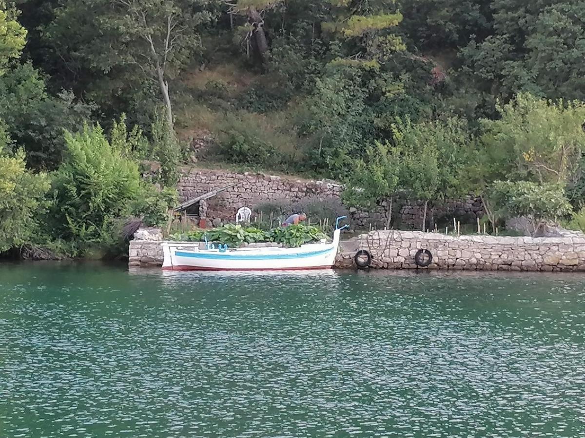 Villa Calendula Novigrad  Esterno foto